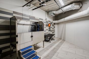 The pet spa features an elevated tub, a drying station, and a grooming table.